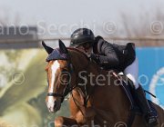 Del Signore Lordiana TosTour 2013- S5 3351 : Arezzo Equestrian Centre, Del Signore Michol, Lordiana, Toscana Tour 2013, foto di Stefano Secchi ©